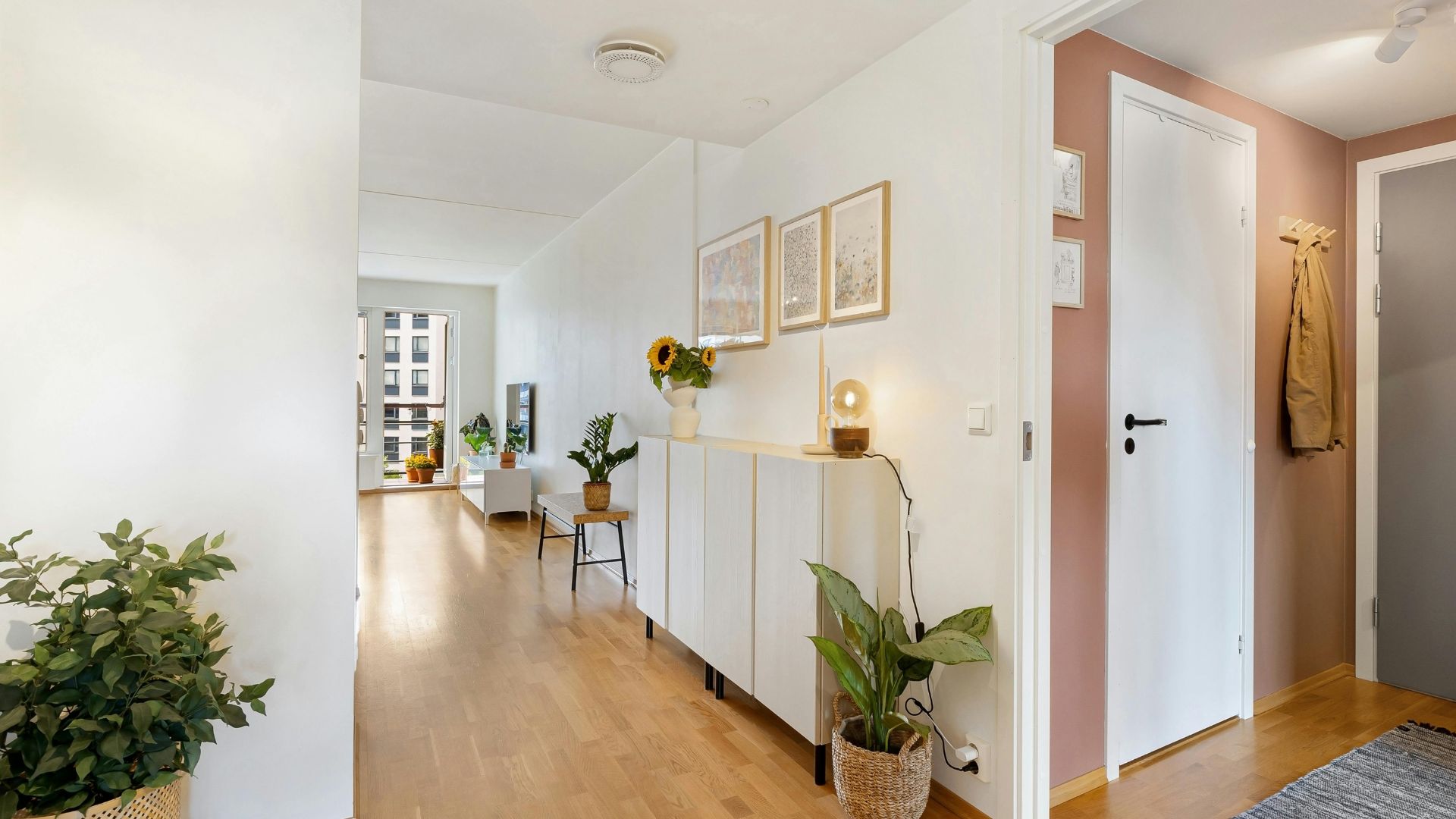 Immobilier toulon est