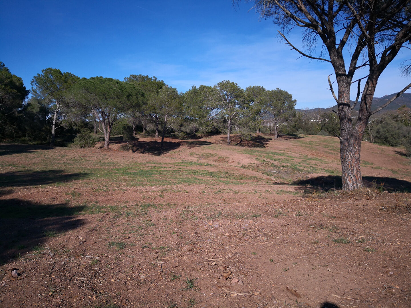 Local Commercial - frejus