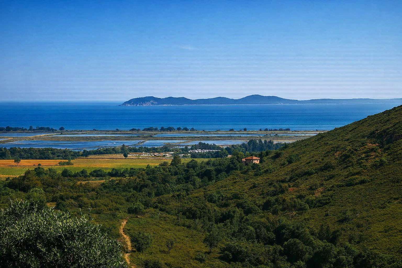 Maison-Villa - LA LONDE LES MAURES